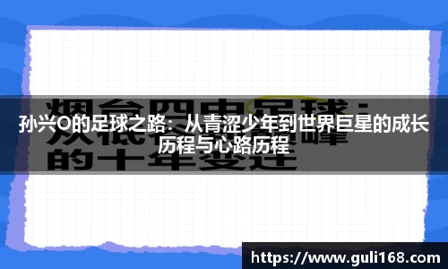 PA视讯平台