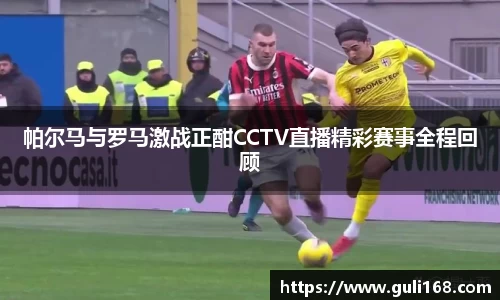 PA视讯