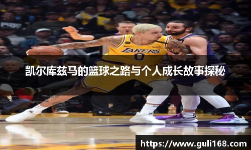 PA视讯平台