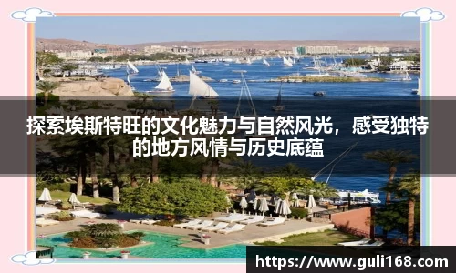 PA视讯平台