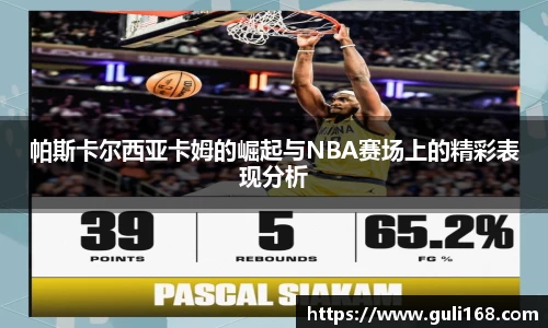 PA视讯